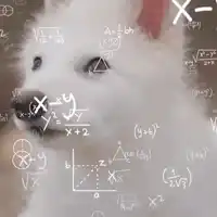 Computer Quantitative Methods Course